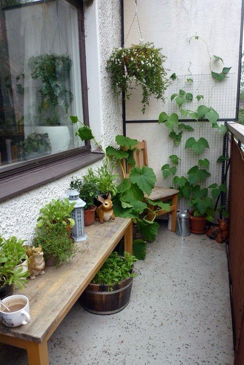 Indoor Balcony Garden Ideas 2