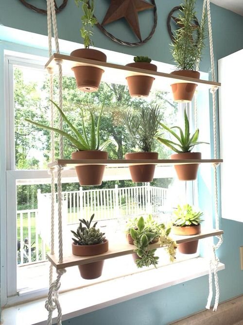 Indoor Window Shelf Ideas for Plants 2