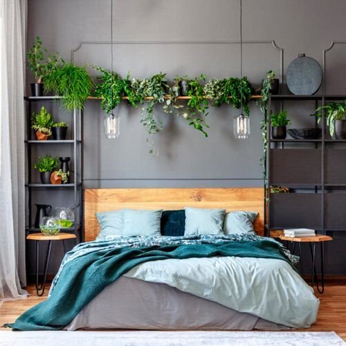 Plant Headboard Ideas for Ultimate Houseplant Lovers 2