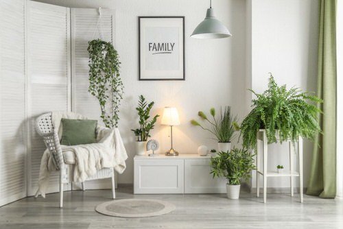 Plant Stand Design Ideas for Indoor Houseplants 2