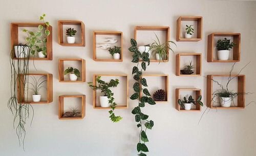 Artistic Plant Wall Art Ideas for Home Décor 2