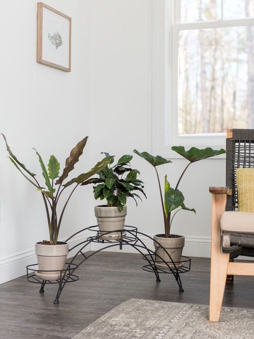 Plant Stand Design Ideas for Indoor Houseplants 23