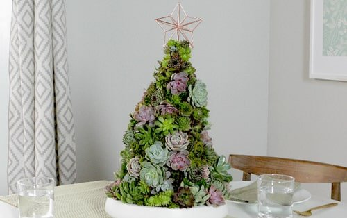 Succulent  Tabletop Christmas Tree