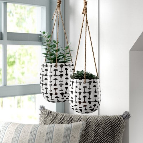 Clever Ways to Hang Your Plants 3