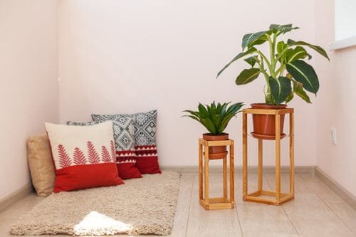 Plant Stand Design Ideas for Indoor Houseplants 3