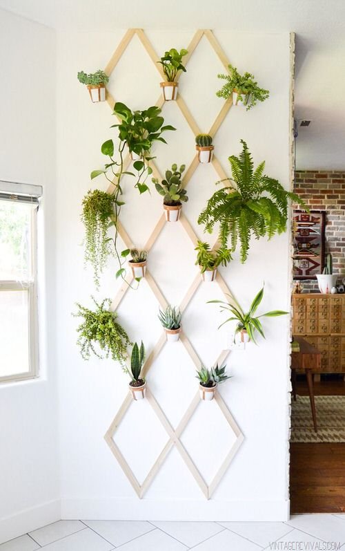 Artistic Plant Wall Art Ideas for Home Décor3