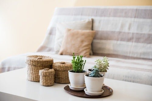 Extremely Beautiful Drawing Room Décor Ideas with Succulents 3