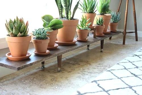 DIY Indoor Plant Shelves Ideas 3