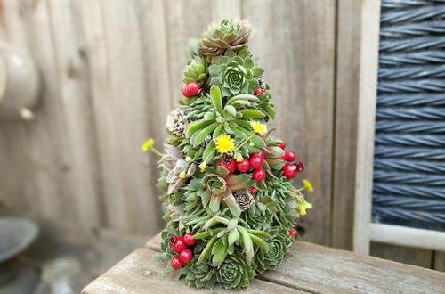 Succulent Christmas Trees 7