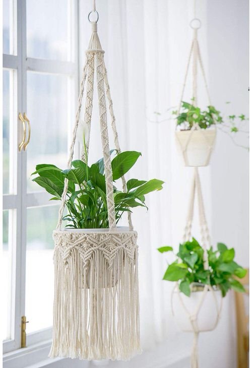 Clever Ways to Hang Your Plants 10