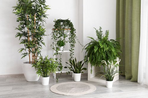 Plant Stand Design Ideas for Indoor Houseplants 4