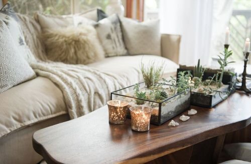 Extremely Beautiful Drawing Room Décor Ideas with Succulents 4