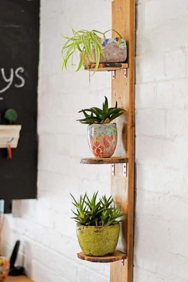 20 DIY Indoor Plant Shelves Ideas that You'd Definitely Want!