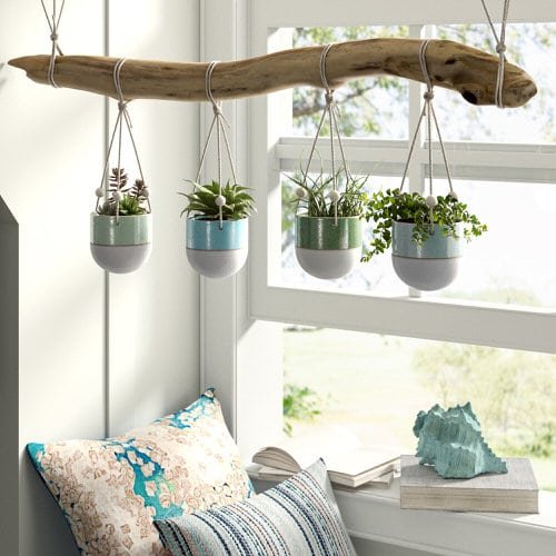 Clever Ways to Hang Your Plants 4