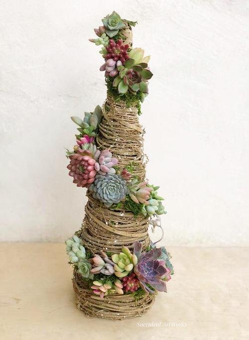 Twig Christmas Tree with Succulents