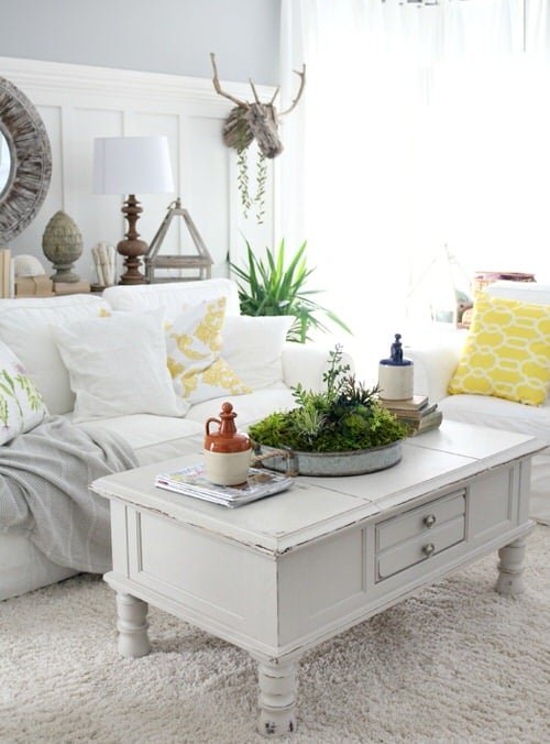 Extremely Beautiful Drawing Room Décor Ideas with Succulents 5