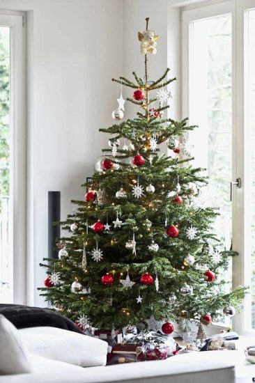 14 Houseplants That Can Be Used As Christmas Tree Alternatives