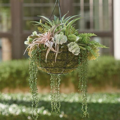 Succulent Hanging Garden Ideas 5