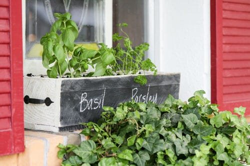 Creative Herb Garden in Window Box Ideas 4