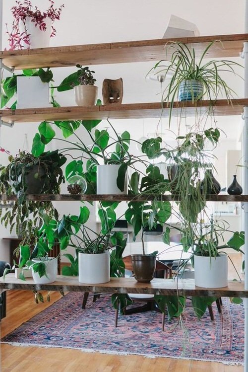 Outstanding Indoor Plants Room Divider Ideas 6