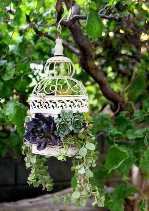 Succulent Hanging Garden Ideas 7