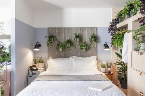 Awesome Indoor Plant Bedroom Pictures 8