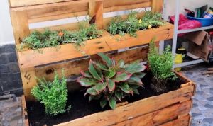 35 Most Popular Garden DIYs on YouTube in 2020 | Balcony Garden Web