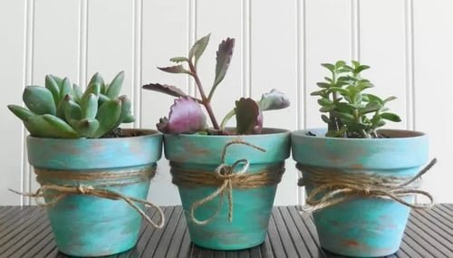 Rustic Succulent Pots