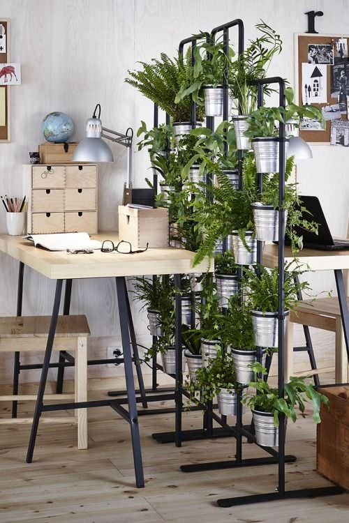 Outstanding Indoor Plants Room Divider Ideas 9