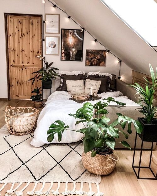 Stunning Attic Rooms with Plants Pictures