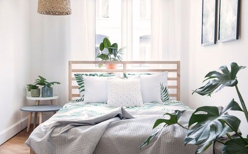 Awesome Indoor Plant Bedroom Pictures