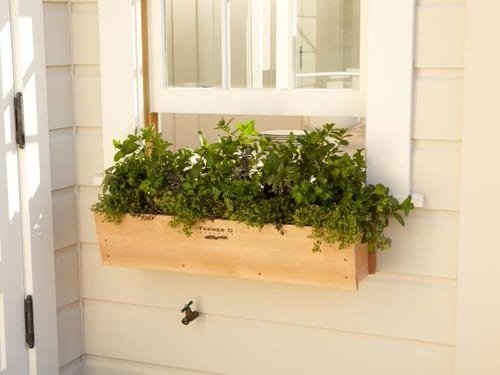 Creative Herb Garden in Window Box Ideas 