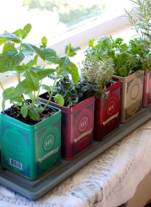 Old Tea Tins Turned Into Fabulous Indoor Plant Homes 3