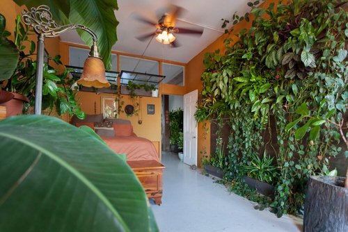 Awesome Indoor Plant Bedroom Pictures 11