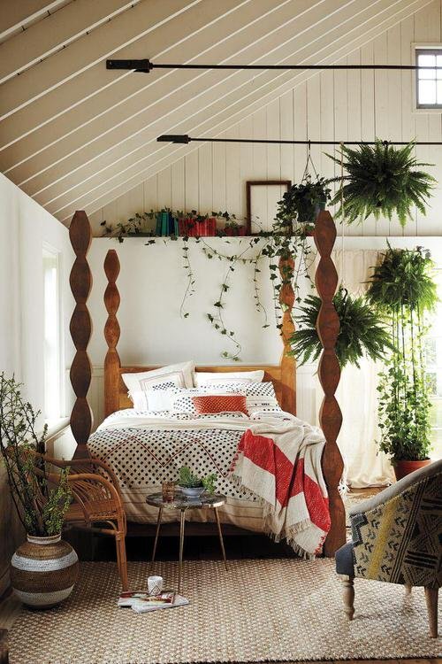 Awesome Indoor Plant Bedroom Pictures 12