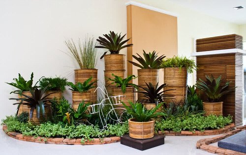 Stunning Indoor Plant Corners 11