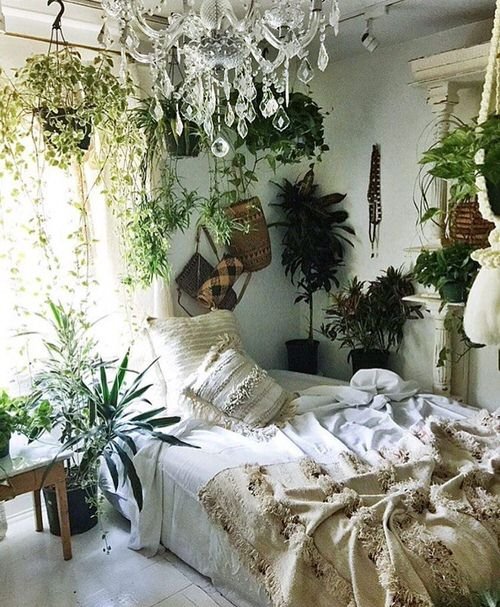 Awesome Indoor Plant Bedroom Pictures 13
