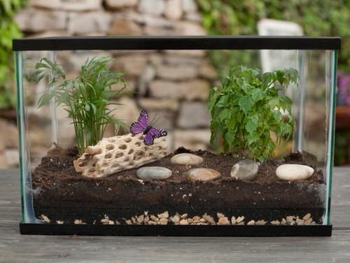 DIY Indoor Plant Display Ideas 13