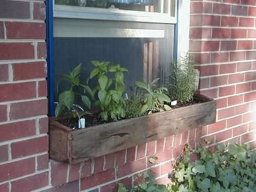 Creative Herb Garden in Window Box Ideas 2
