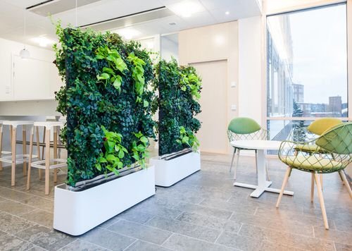 Outstanding Indoor Plants Room Divider Ideas 2