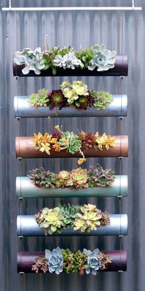 Succulents in Hanging Metal Pipes