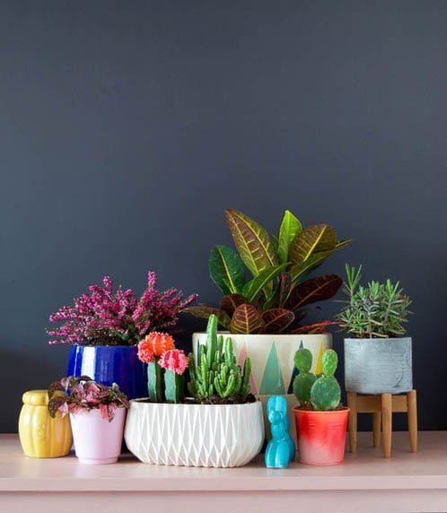Spray Paint Ombre Planters