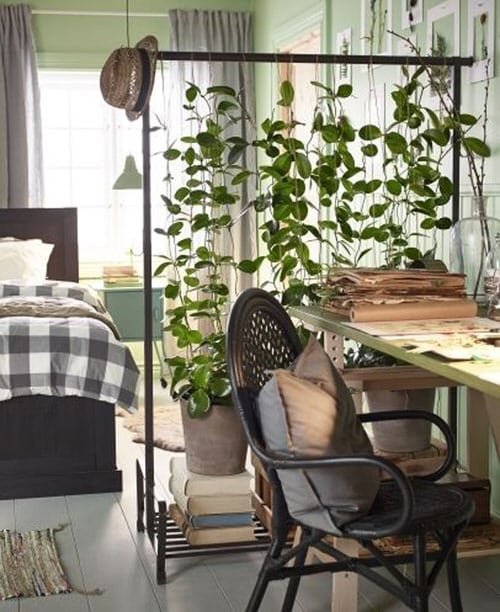 Outstanding Indoor Plants Room Divider Ideas