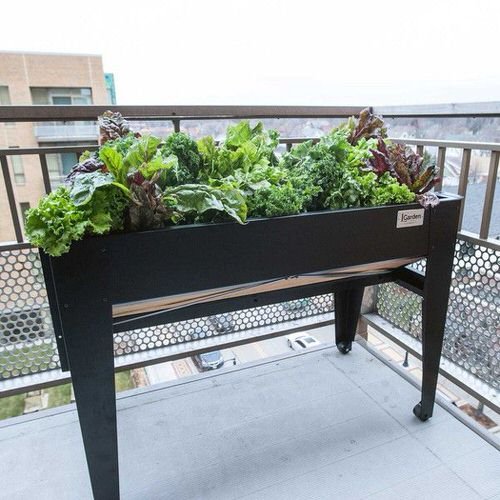 Raised Bed Gardens for Balcony 3