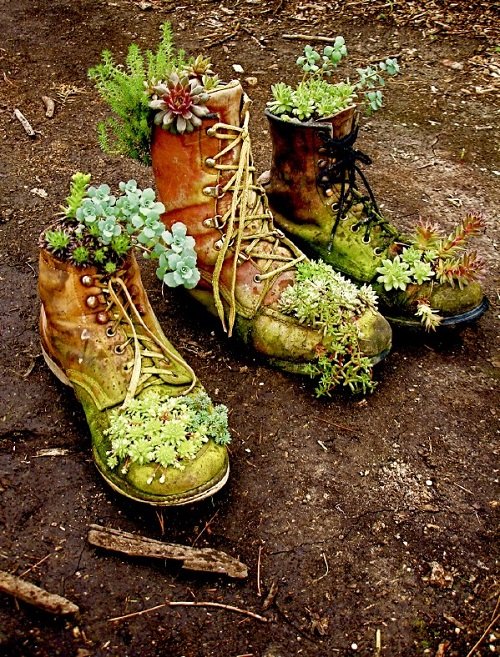 Boot Succulent Garden