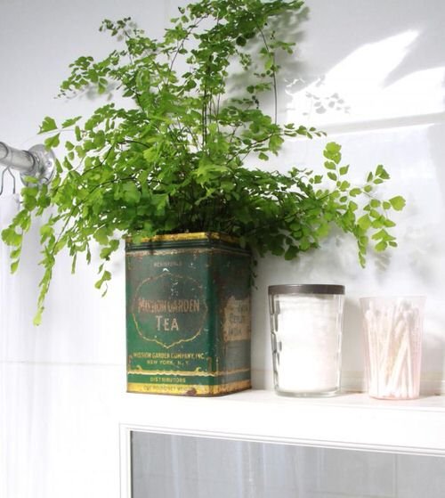 Old Tea Tins Turned Into Fabulous Indoor Plant Homes 4