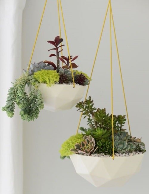 Succulent Hanging Garden Ideas 4