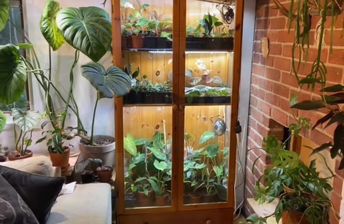 Old Plant Cabinets into Plants Home 5