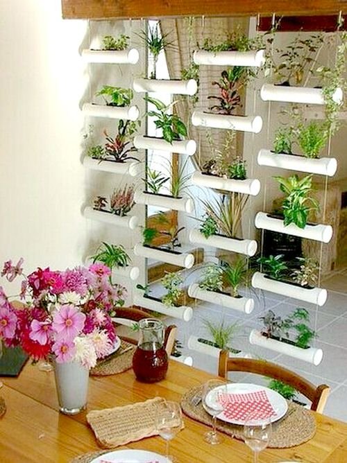Outstanding Indoor Plants Room Divider Ideas 5