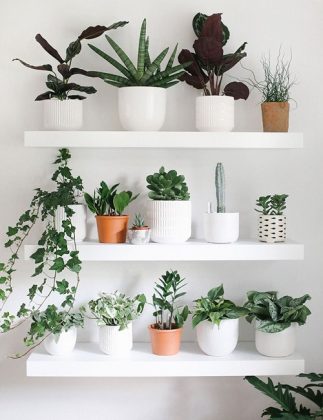 35 Beautiful DIY Indoor Plant Display Ideas | Balcony Garden Web